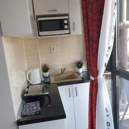 Alina Apartman *